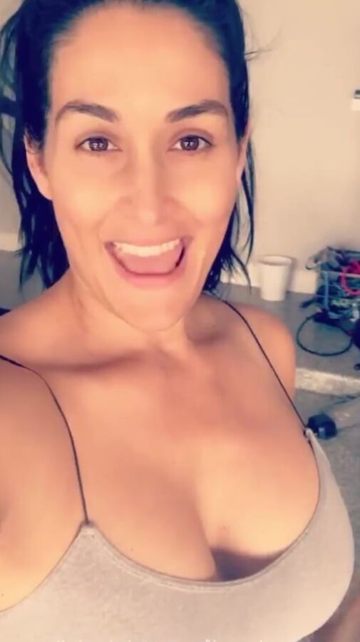 Pregnant Bella Twins ()