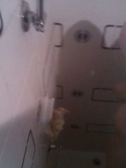 Mature shower time
