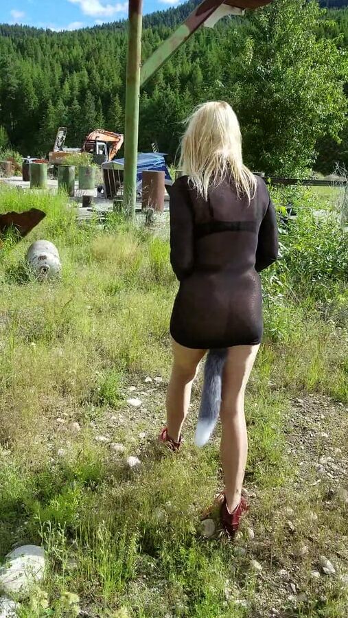 Junk Yard