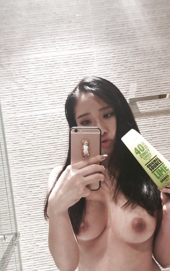 Assortment of Great Asian Tits