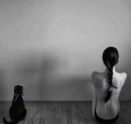 found: more cats