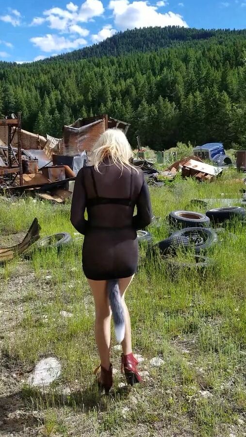 Junk Yard