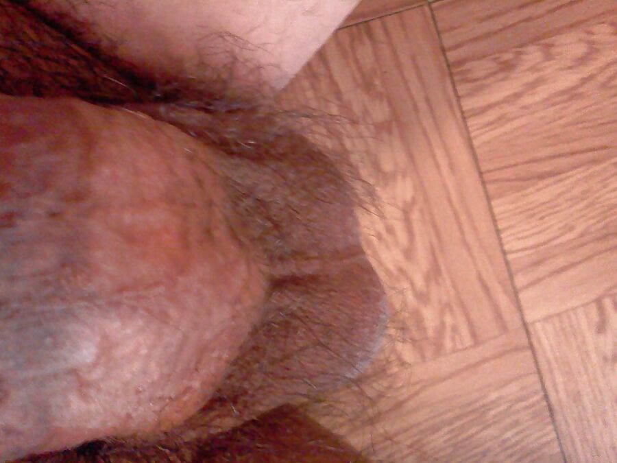 My cock for the ladys