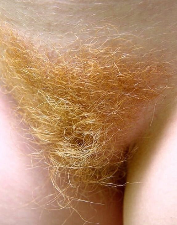 Natural Blonde Bush
