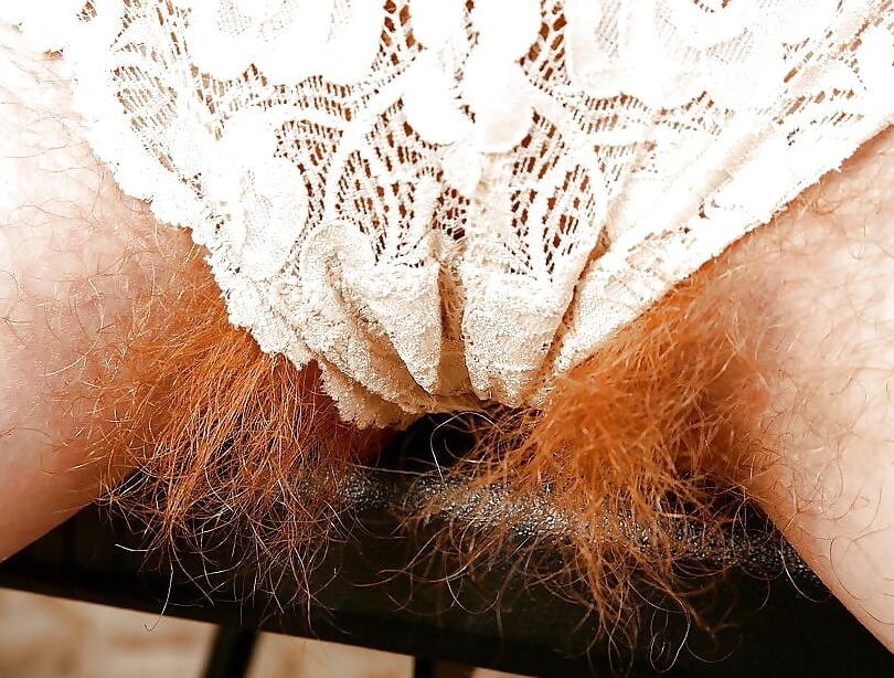 BUSH is showing