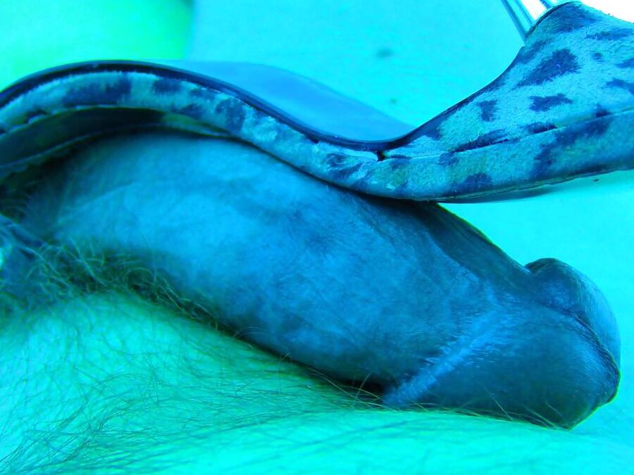 My cock for the ladys