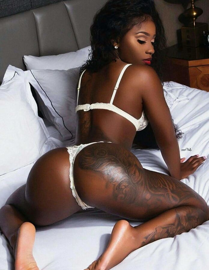 Asses galore