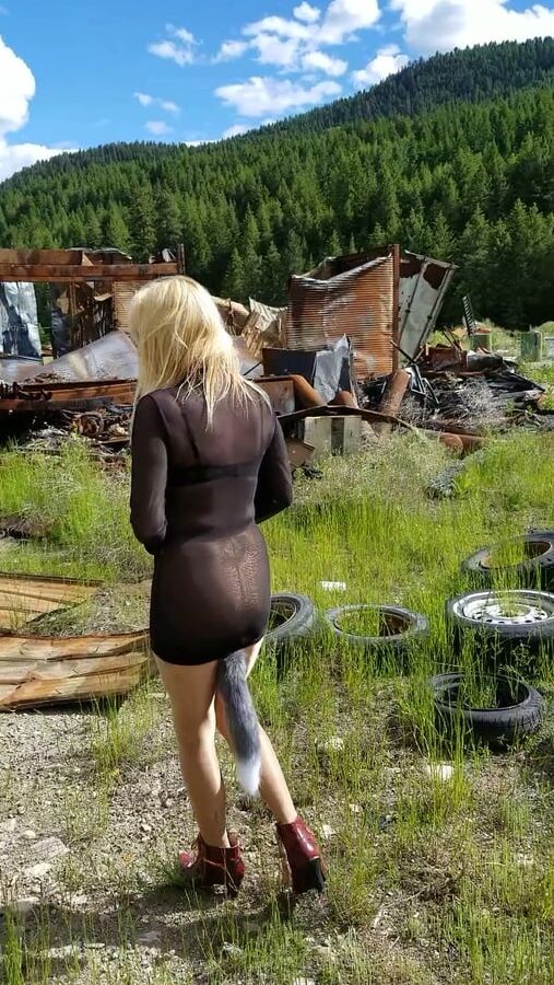 Junk Yard