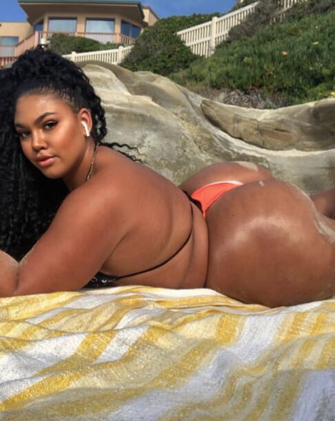 Black BBW Vol