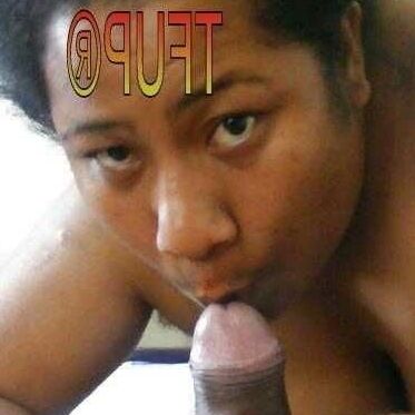Cock Sucking Experts Freebies