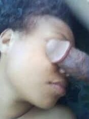Cock Sucking Experts Freebies