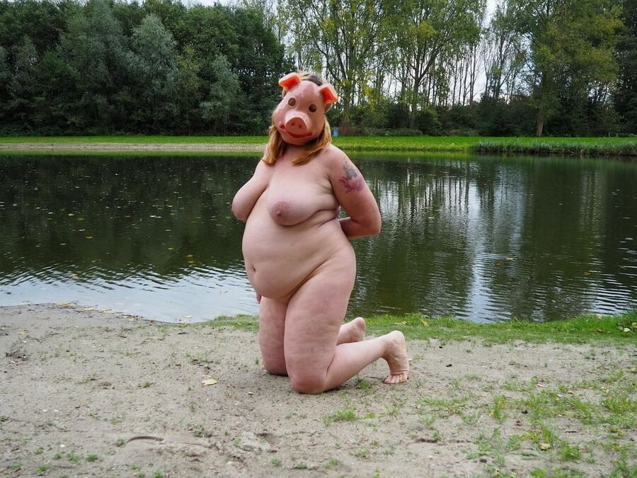 Fatties and pigs