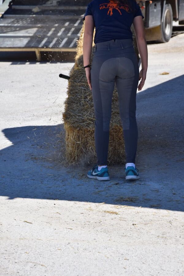 girls in jodhpurs