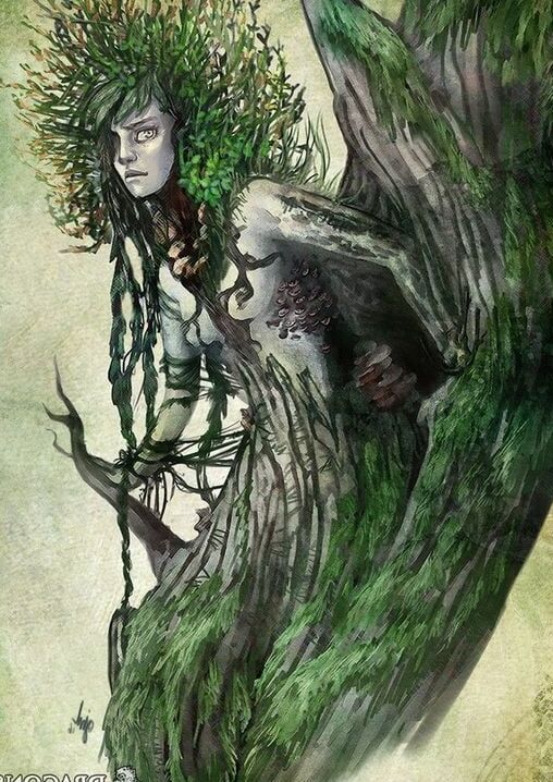 People of Thrones Folk of the Forest
