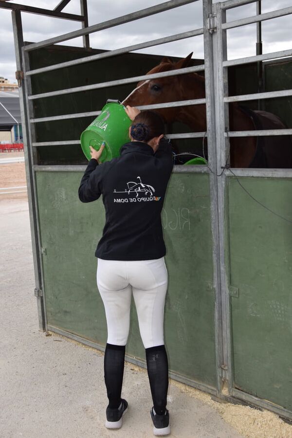 girls in jodhpurs