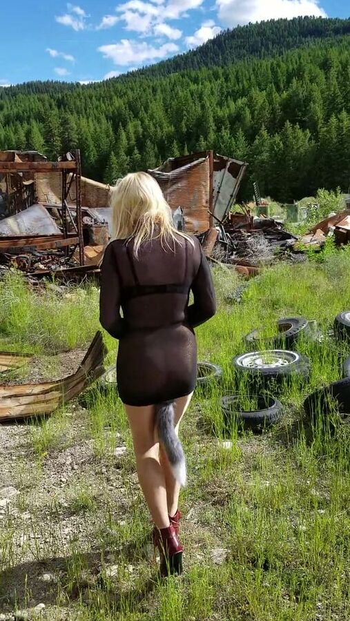 Junk Yard