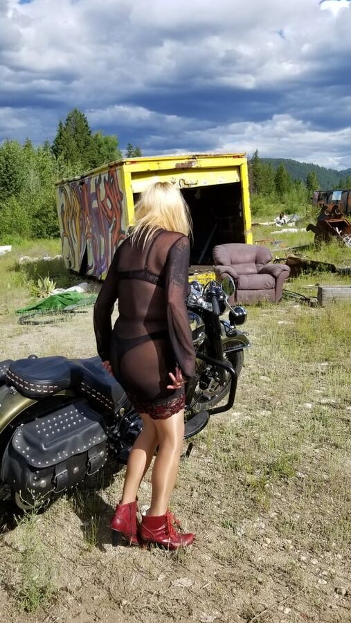 Junk Yard