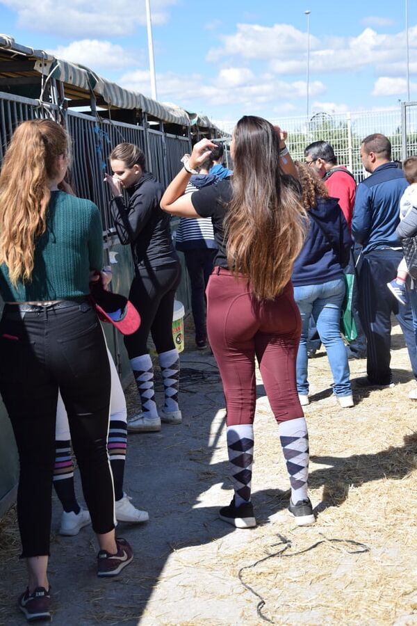girls in jodhpurs