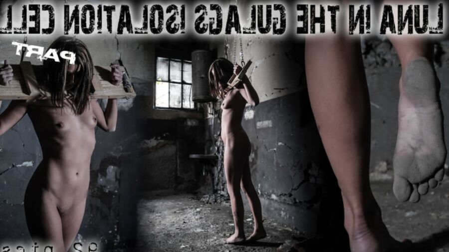 interrogated in stock