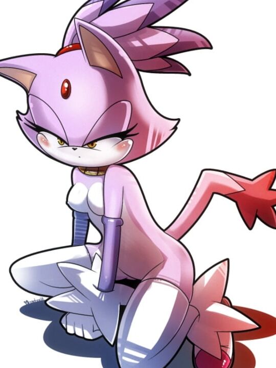 Sonic franchise hentai