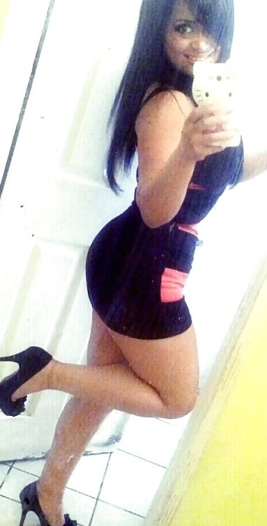 Little Spinner Latina