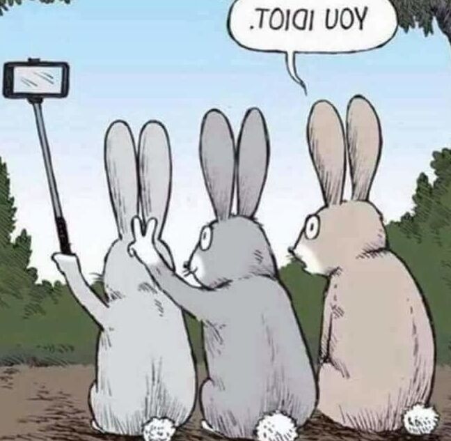 HA! FUCKIN&; HA!