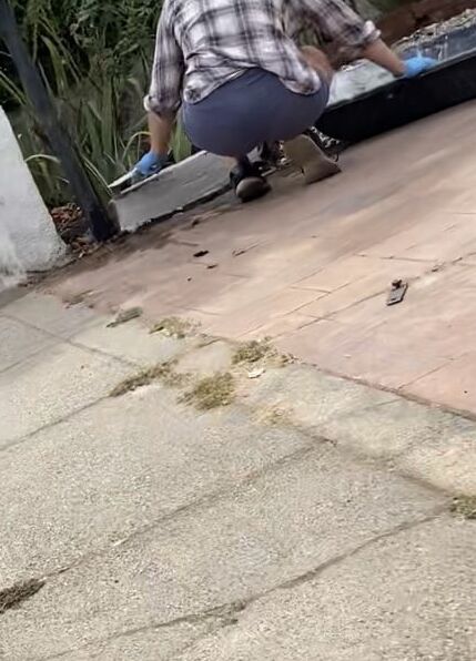 Random BBW and Pawg Asses Young and Mature Thick Milf Gilf