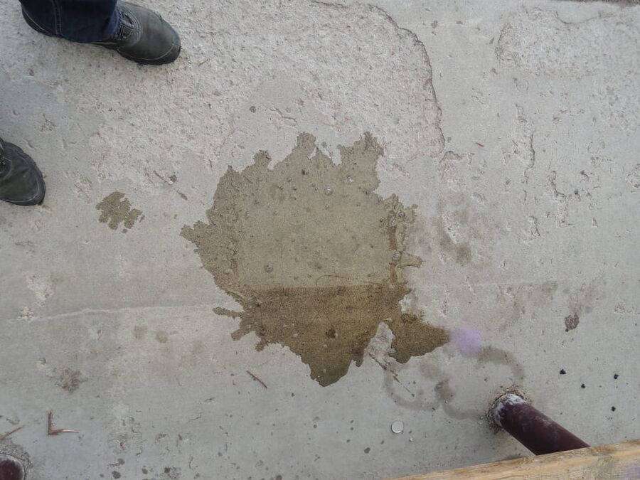 My piss puddles at the bus stop