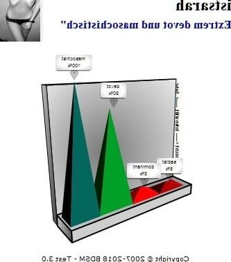 BDSM-Test