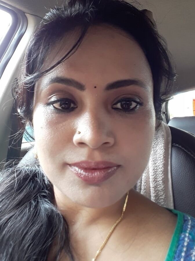 Bengali Short and Cubby Cousin