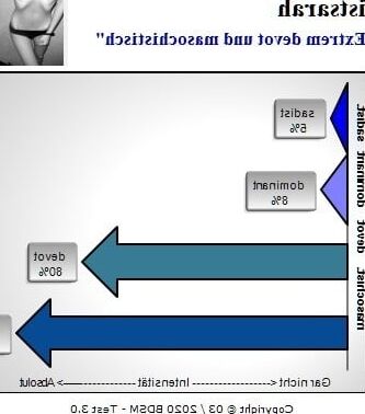 BDSM-Test