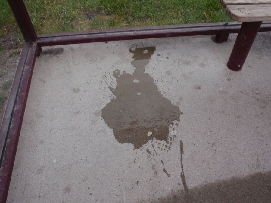 My piss puddles at the bus stop