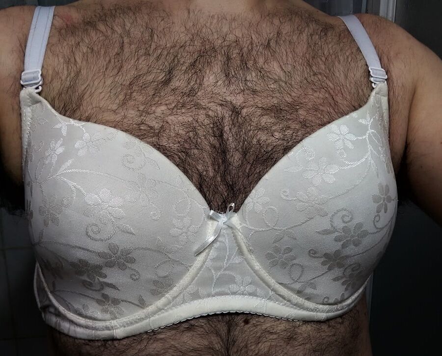 sister bras