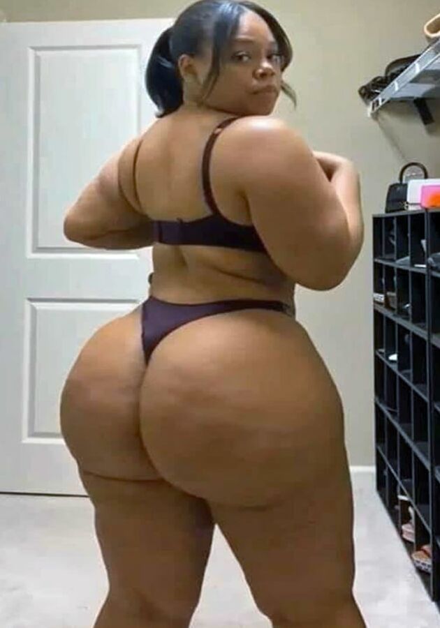 Curves