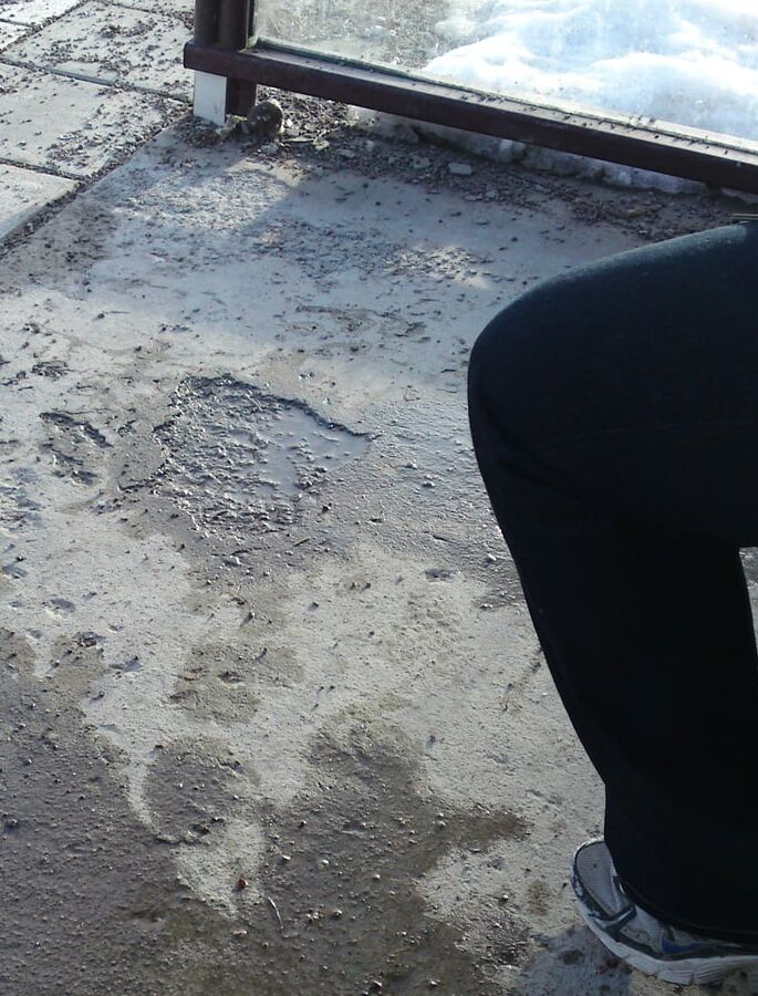 My piss puddles at the bus stop