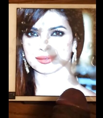 Priyanka Chopra bikini