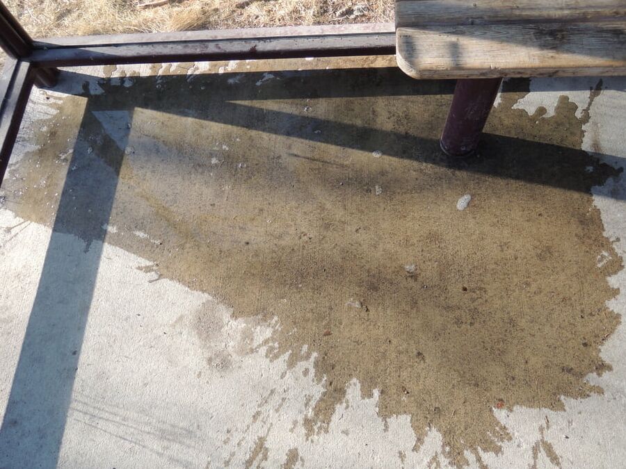 My piss puddles at the bus stop