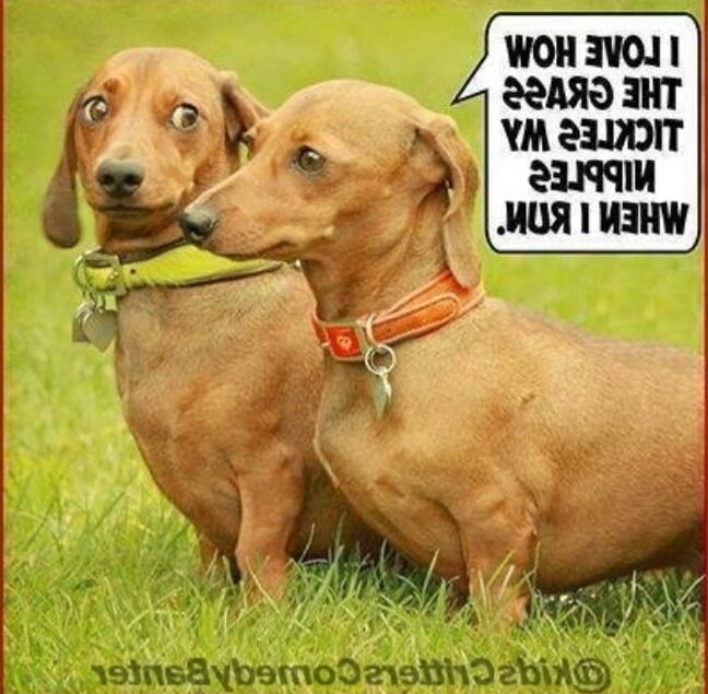 FUCK Yeah, It&;s FUNNY!!!