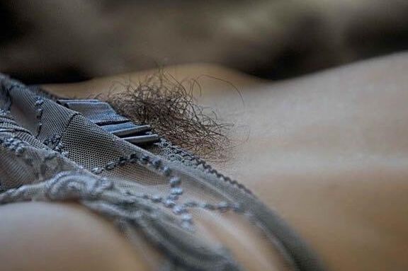 Tits, asses, hairy fun tour