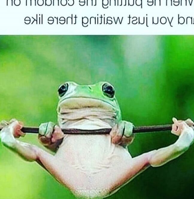 FUCK Yeah, It&;s FUNNY!!!