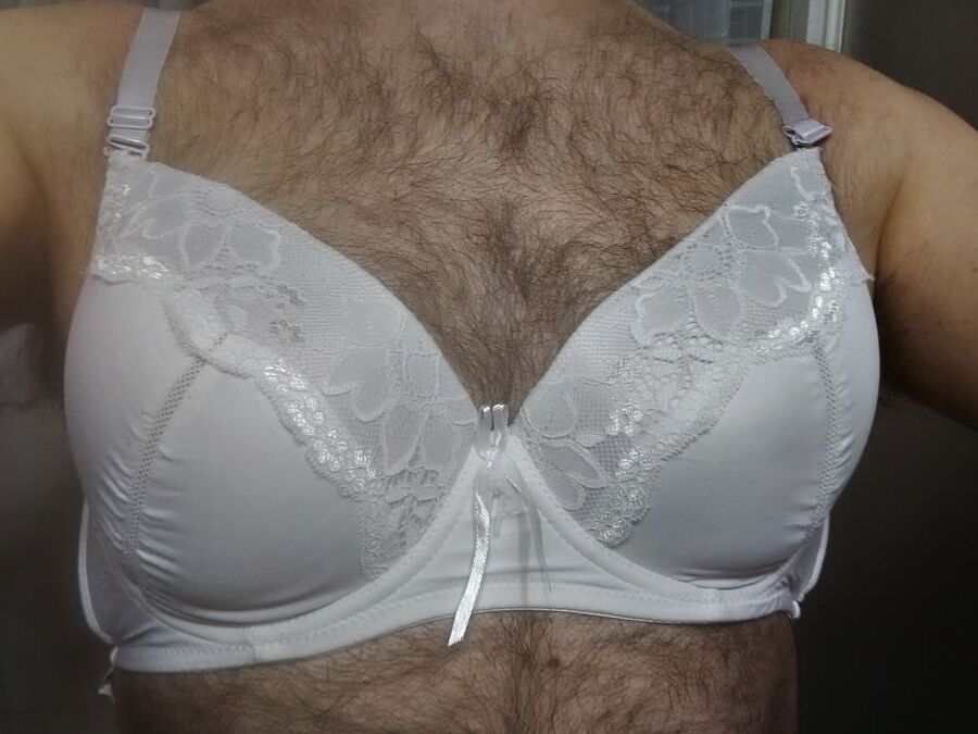 sister bras