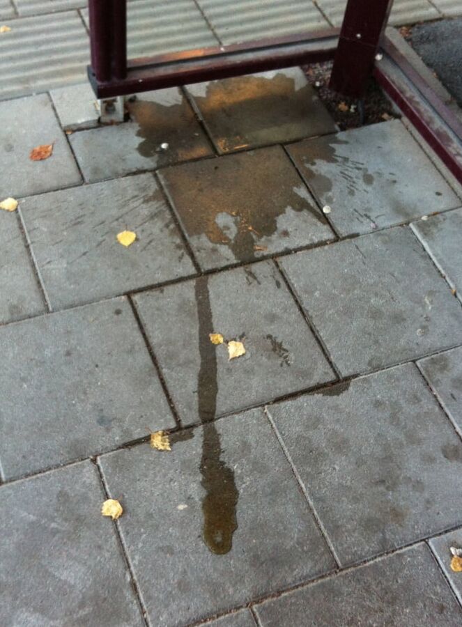 My piss puddles at the bus stop