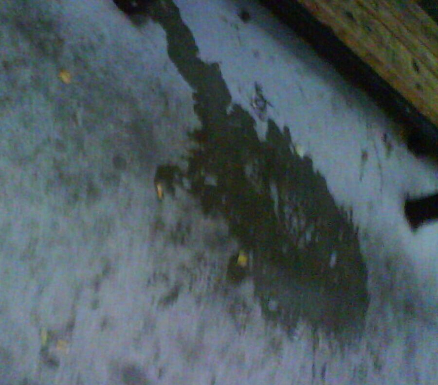 My piss puddles at the bus stop
