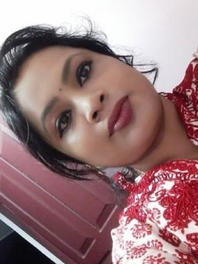 Bengali Short and Cubby Cousin