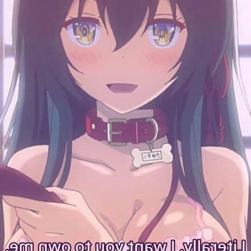 Hentai and Ecchi