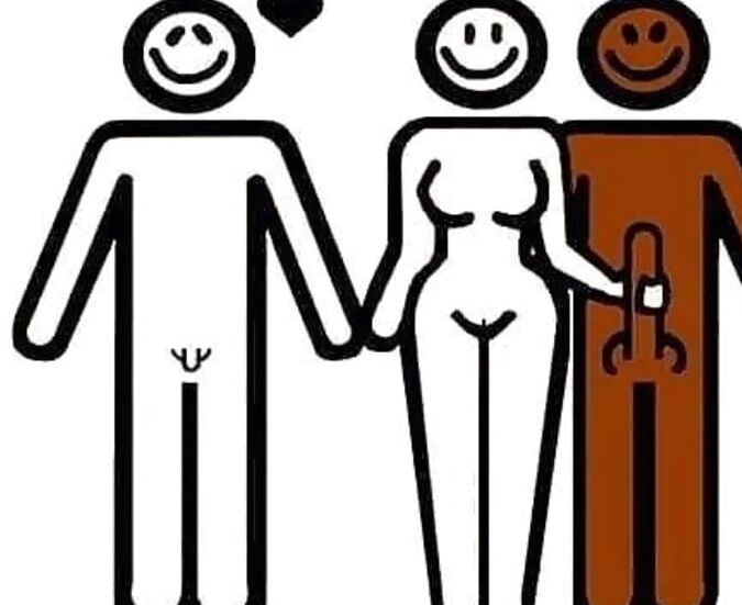 Ideal Wife