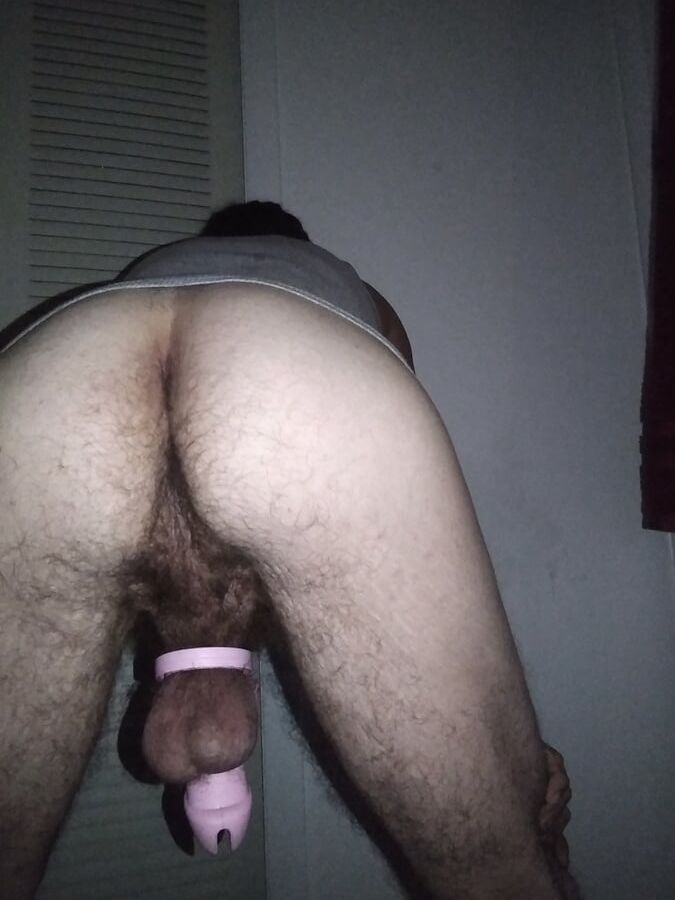 Sissy Your maid