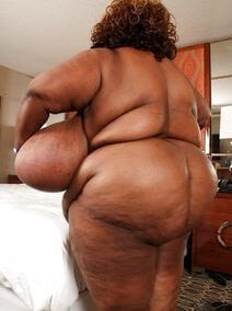 Norma Stitz