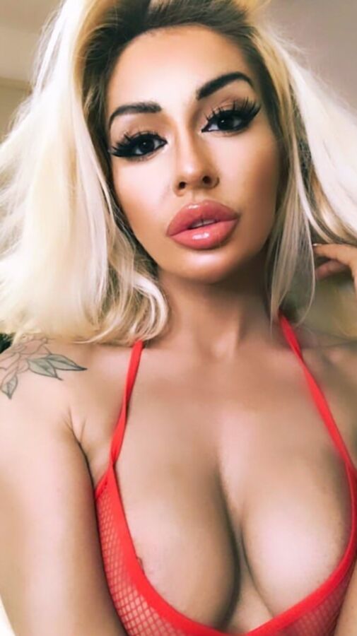 Harley