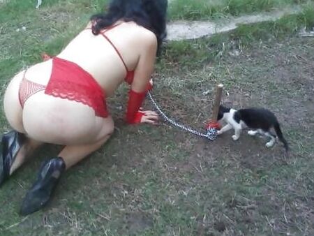 Pet Play